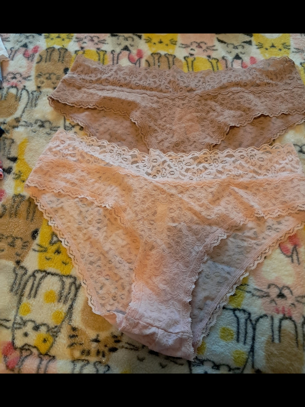 NWOT GAP Lace Bikini Briefs - Blush Pink & Mauve